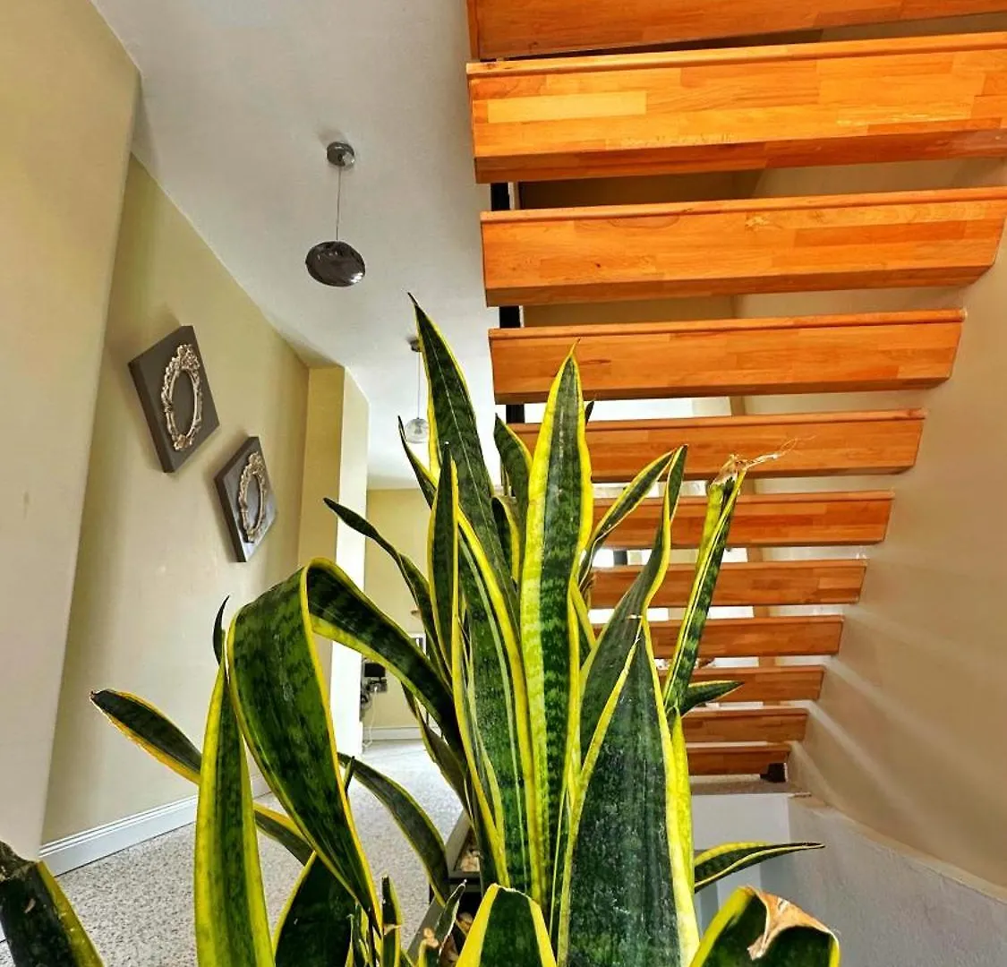 Hotel Sulty'S Alacati Avlu Turquie